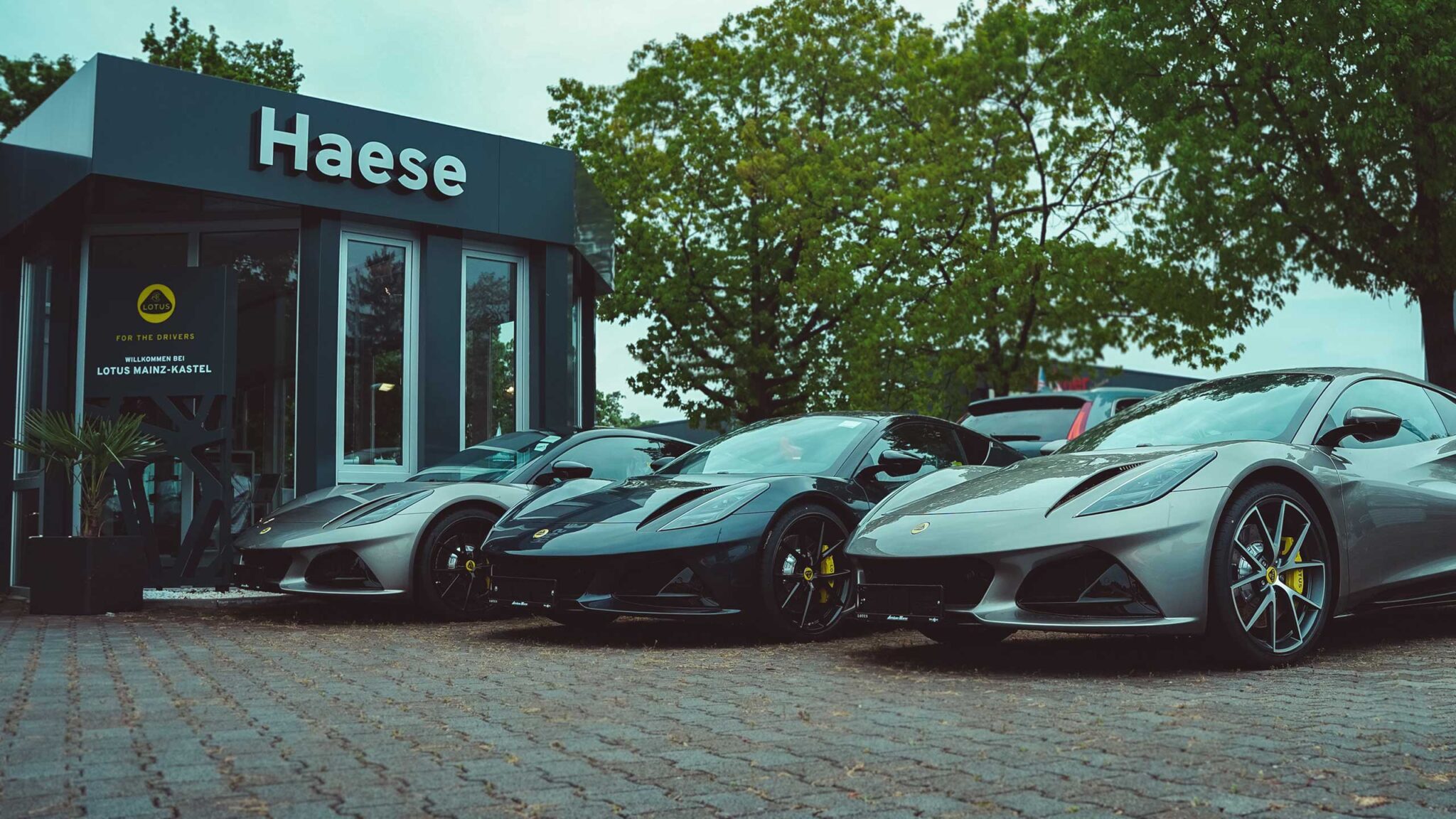 Autohaus Haese Mainz Kastelnull